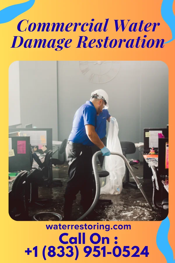 Commercial Water Damage Restoration in Detroit Beach, MI