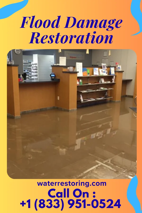 Flood Damage Restoration in Detroit Beach, MI