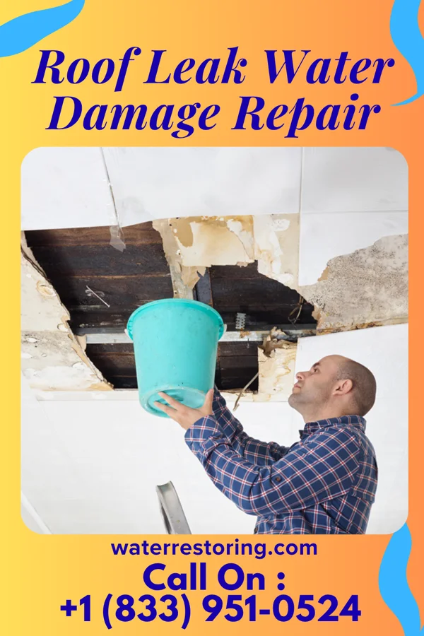 Roof Leak Water Damage Repair in Detroit Beach, MI